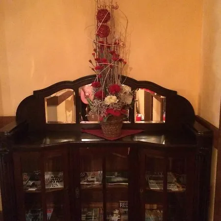 马科斯西梅克酒店 3* 俄斯特拉发