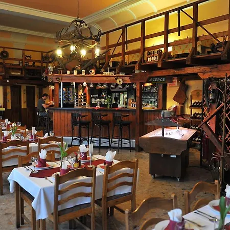 马科斯西梅克酒店 俄斯特拉发