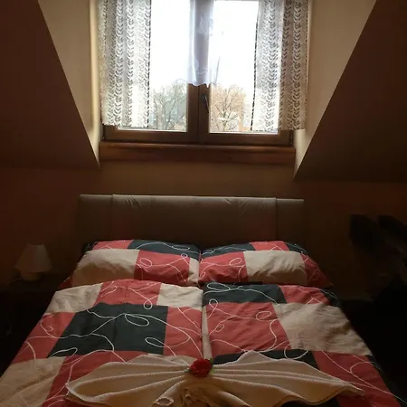 Max Simek Ostrava