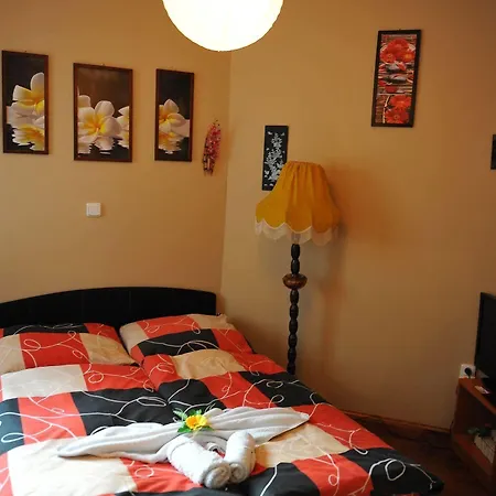 Max Simek Hotel