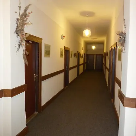 马科斯西梅克酒店 俄斯特拉发