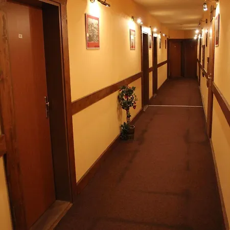 Max Simek Ostrava