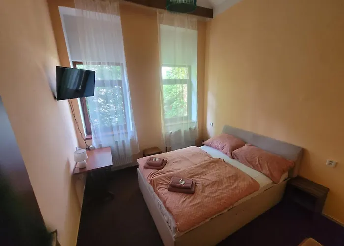 マックス シメック ホテル オストラヴァ