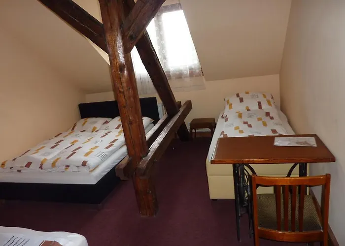 Max šimek Hotel