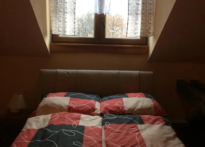 Max šimek Ostrava